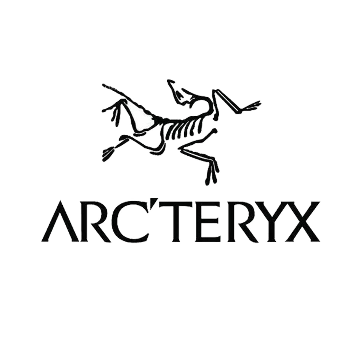 Arc'teryx