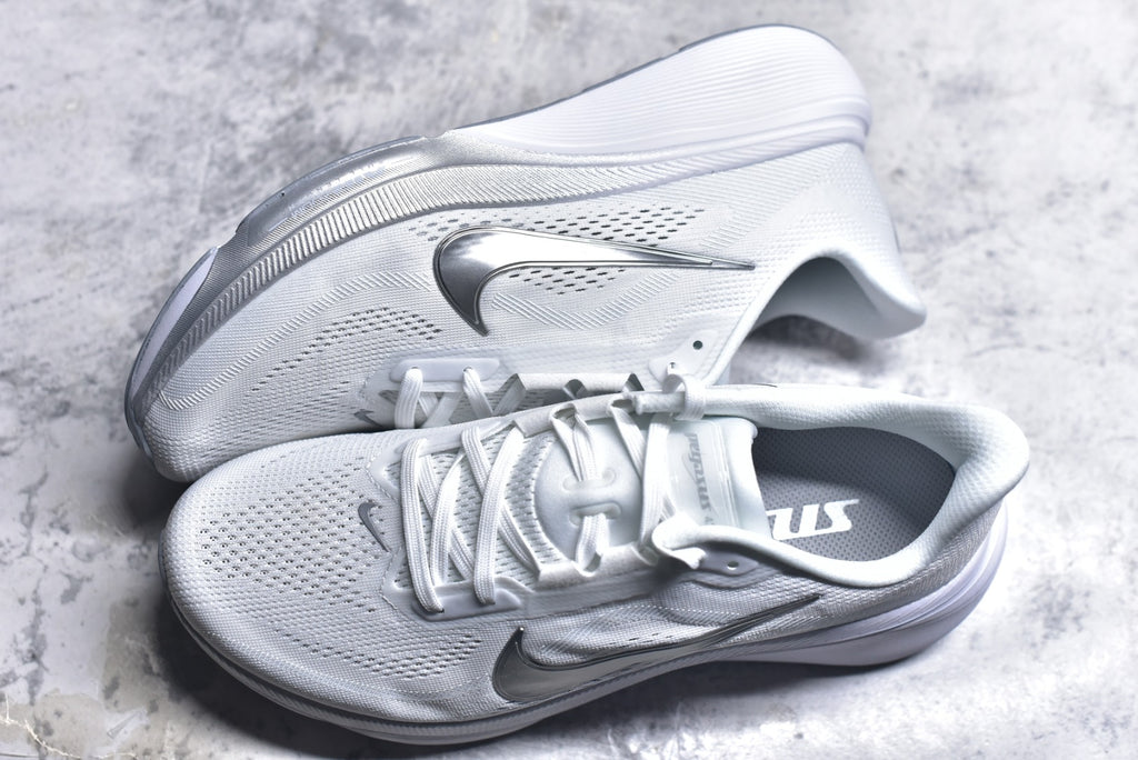 Nike Pegasus 42 — White / Metallic Silver / Pure Platinum