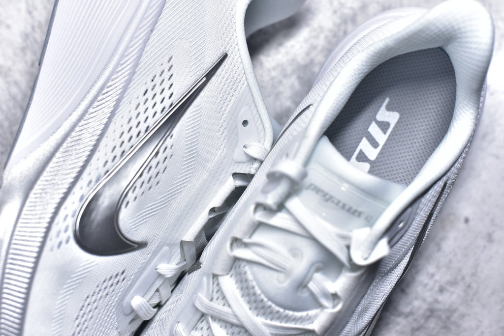 Nike Pegasus 42 — White / Metallic Silver / Pure Platinum