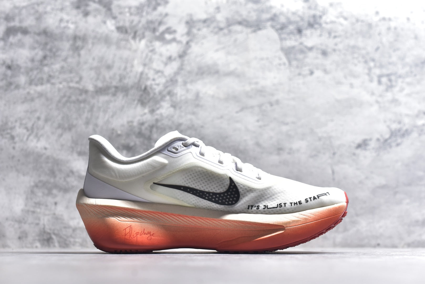 Nike Pegasus 41