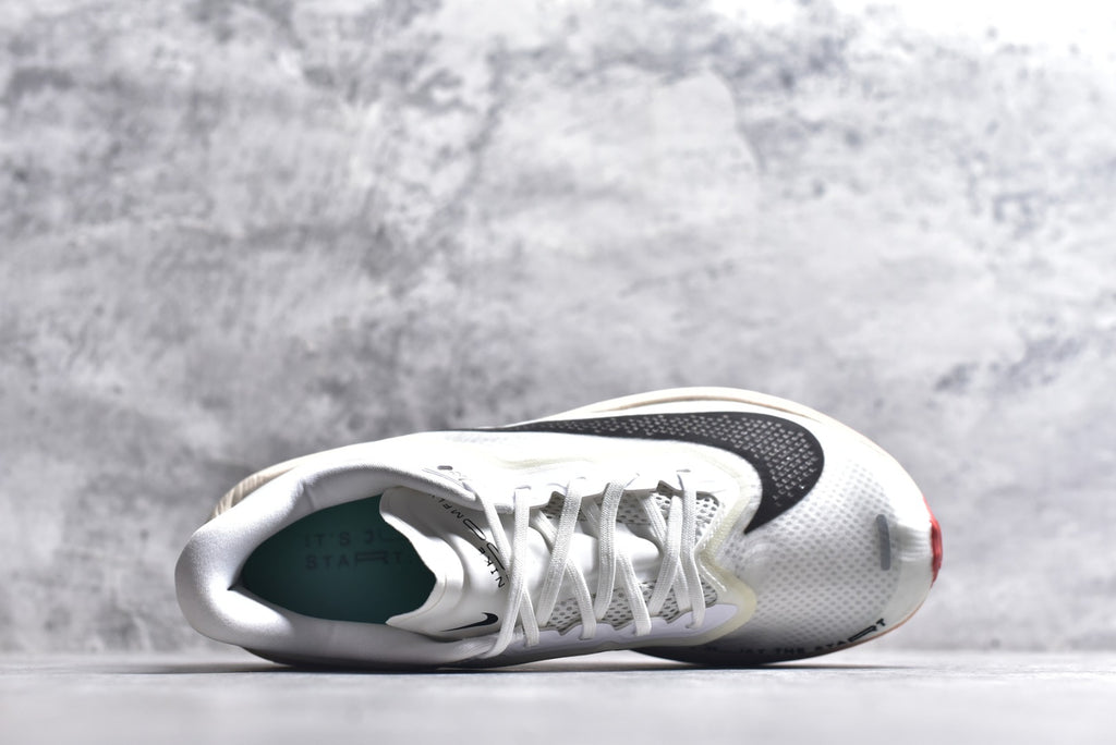 Nike Pegasus 41