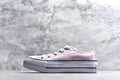 Converse All Star Low Top Women's Canvas Sneaker | A10260C