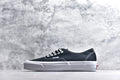 Vans Vault OG Authentic LX | Checkerboard Canvas Sneaker | VN000CQABA2