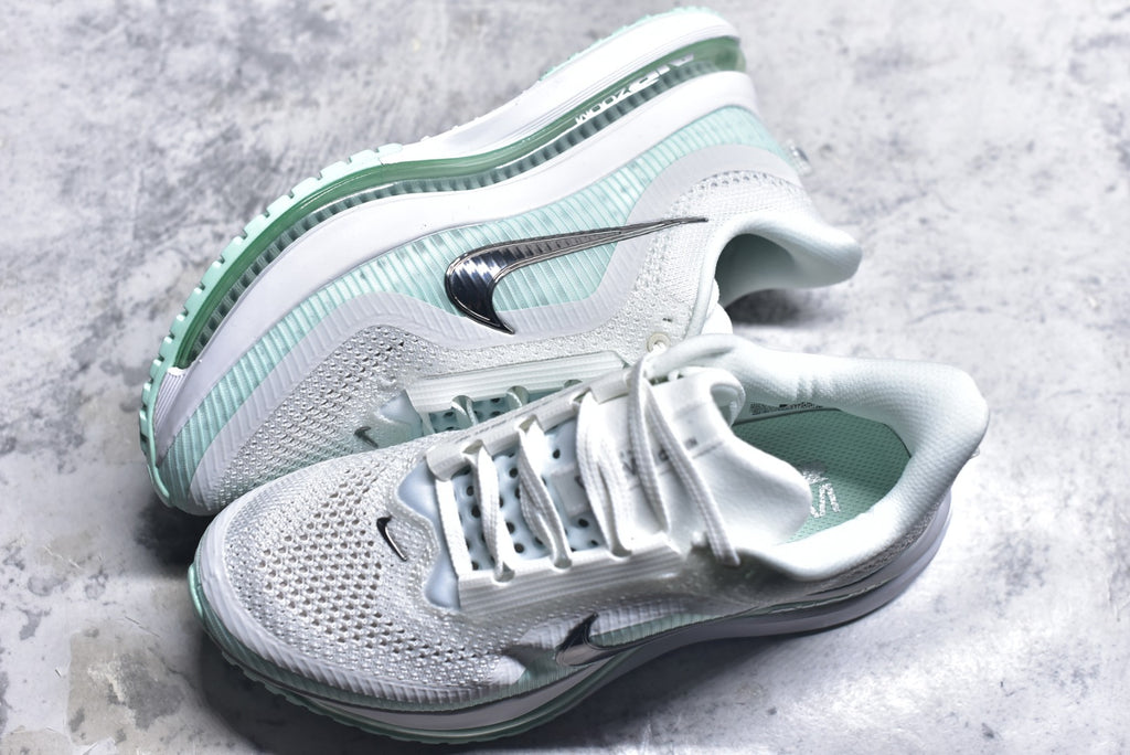 Nike Air Zoom Pegasus Premium | Air-Cushioned Running Shoe | HQ2593-103