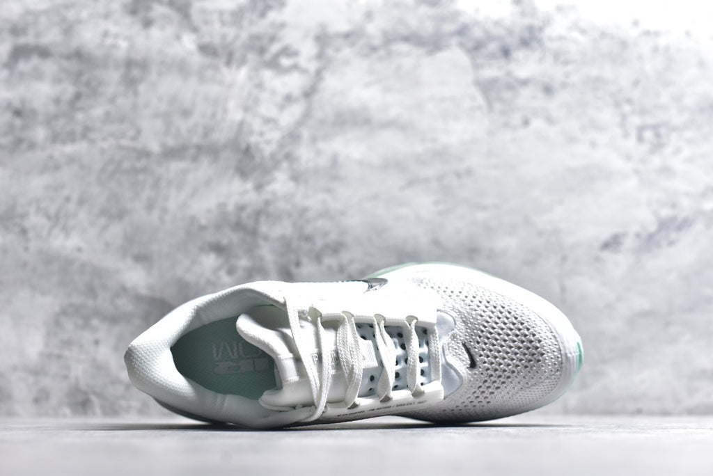 Nike Air Zoom Pegasus Premium | Air-Cushioned Running Shoe | HQ2593-103