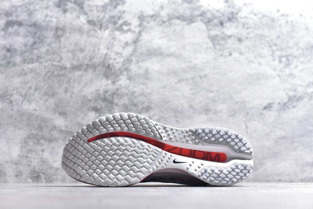 Nike Air Zoom Pegasus Premium | Air-Cushioned Running Shoe | HQ2593-101