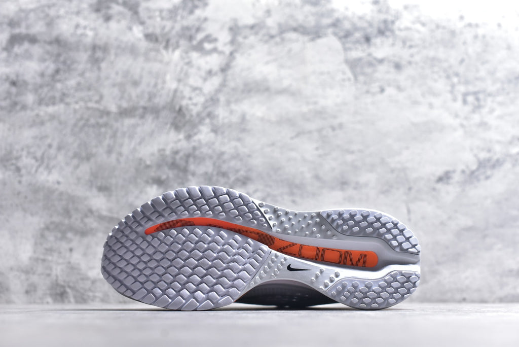 Nike Air Zoom Pegasus Premium | Air-Cushioned Running Shoe | HQ2593-001