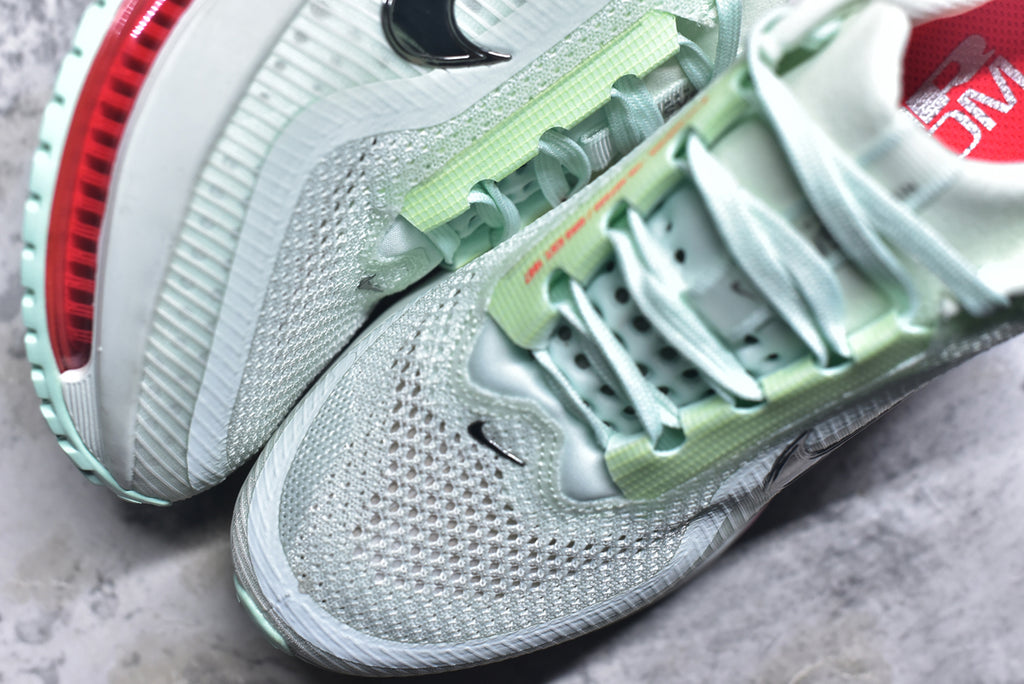 Nike Air Zoom Pegasus Premium | Air-Cushioned Running Shoe | HQ2592-301